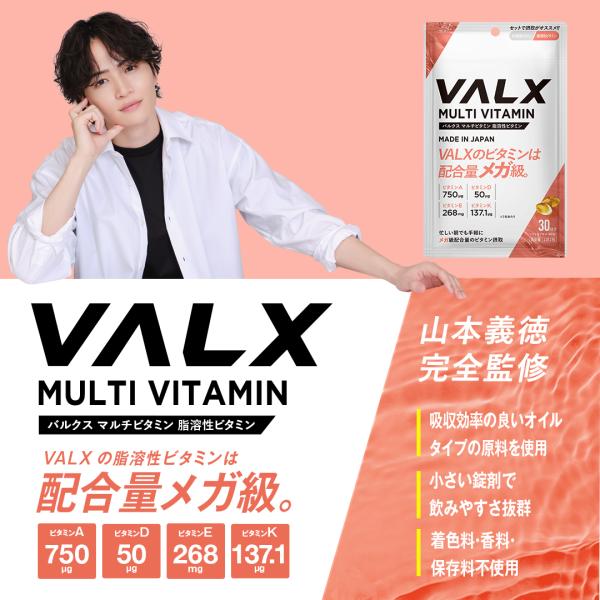 VALX（バルクス） マルチビタミン水溶性ビタミン＆脂溶性ビタミン