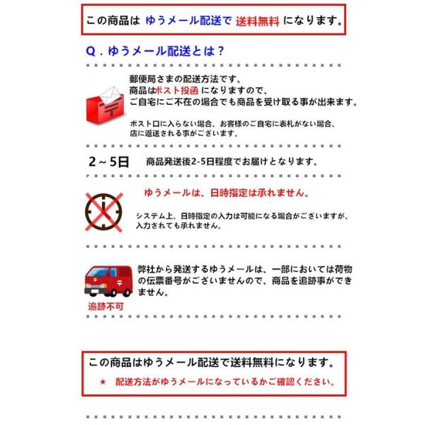送料無料 PSP-1000・PSP-2000・PSP-3000対応ACアダプター充電器 : YIYI 