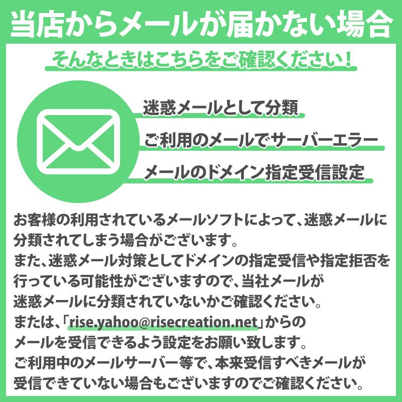 爆買クーポン】替えフィルター ミニハンディクリーナー 専用