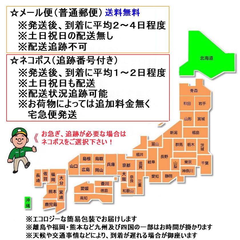 送料無料 プレイステーション2 Playstation 2専用メモリーカード