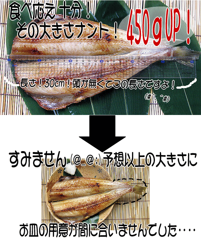 開き縞ほっけ一夜干し シマホッケ 無頭 デカサイズ450gup 吉粋 通販 Yahoo ショッピング