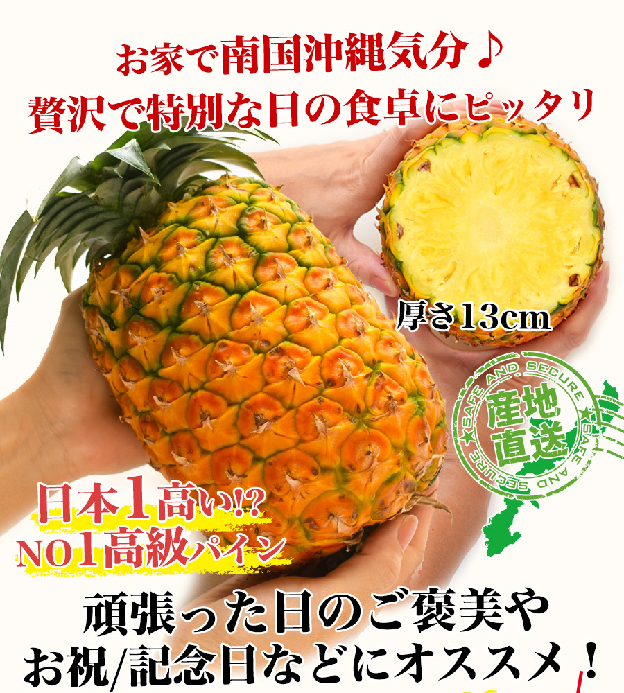 ゴールドバレル パイナップル 沖縄 石垣島産 高級 1.5kg前後 （安心保証付き）