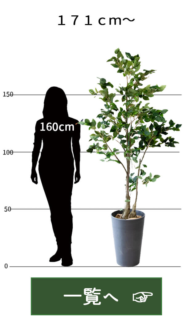 フェイクグリーン ハランスタイル H約155cm 鉢付き / 観葉植物 フェイクグリーン ハランスタイル H約155cm 鉢付き / 観葉植物