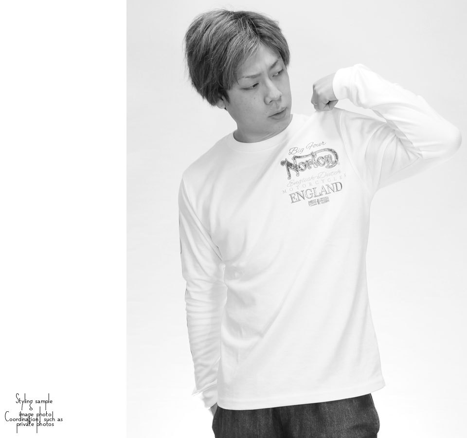 ノートン Mixスチール ロゴ刺繍 長袖tシャツ ワッフル ロンt メンズ 新作22年モデル Norton 221n1102 最新情報