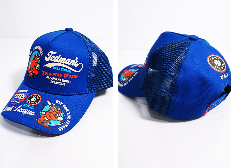 TEDMAN テッドマン デビルリーグ ツイル メッシュキャップ 帽子