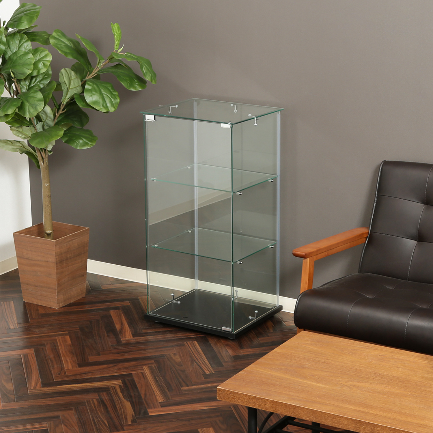 不二貿易（Fuji Boeki） ガラスコレクションケース3段 クリア