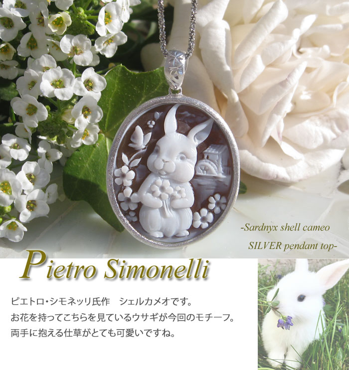 cameo-anm-p250-1.jpg