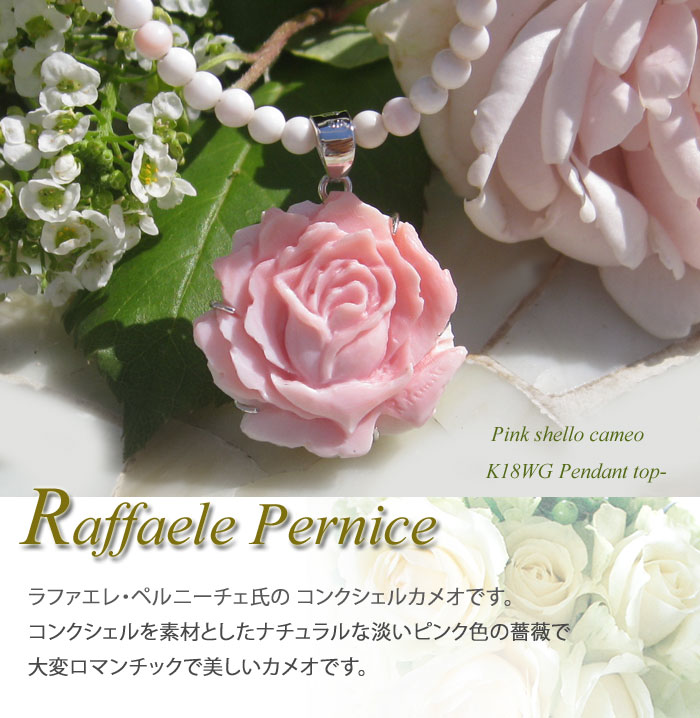 CAMEO（カメオ） Raffaele Pernice作 ピンク コンクシェル K18WG