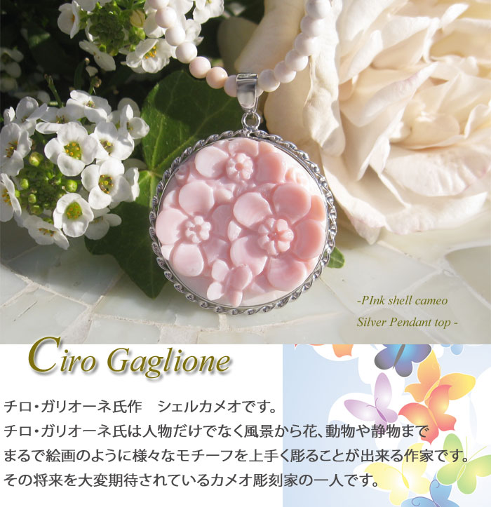 CAMEO（カメオ） 希少作品 Ciro Gaglione作 コンクシェル SILVER