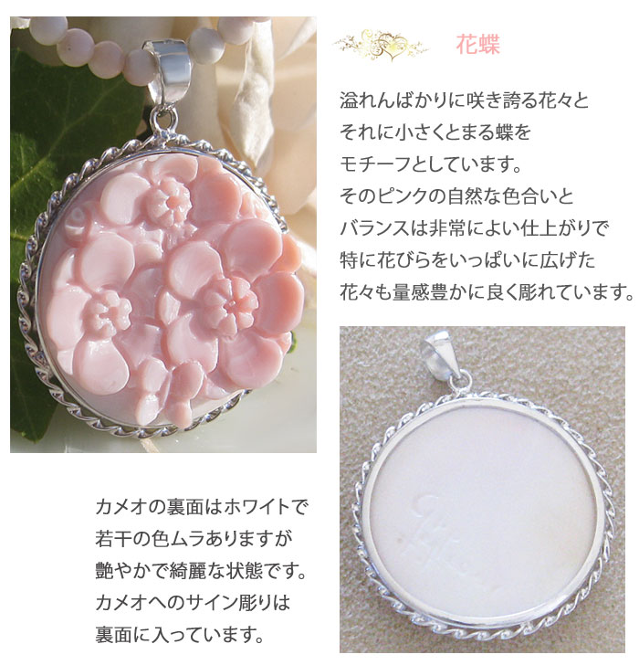 CAMEO（カメオ） 希少作品 Ciro Gaglione作 コンクシェル SILVER