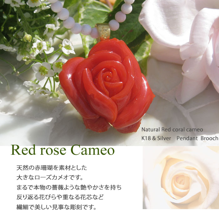 珊瑚 薔薇 五島珊瑚