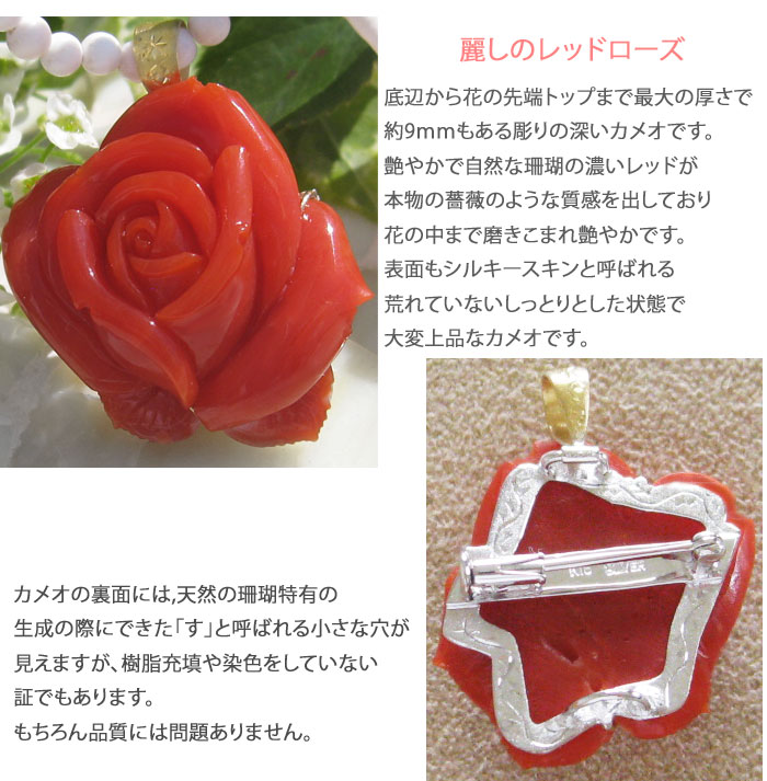 CAMEO 高品質 天然赤珊瑚 薔薇カメオ K18 SILVER ペンダント