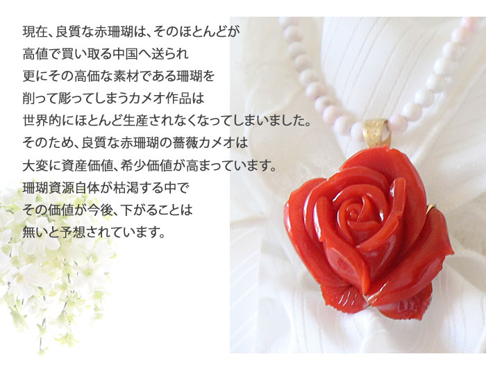 本鼈甲 珊瑚 カメオ 女性姿図 ブローチ チャーム 箱付 CAMEO 高品質 天然赤珊瑚 薔薇カメオ K18 SILVER ペンダント