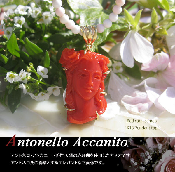 Seal限定商品 美しい女性の天然上質赤珊瑚のペンダントトップ Antonello Accanito作 天然上質珊瑚カメオ K18ペンダントトップ 希少 美しい薔薇の髪飾り レディースアクセサリー Tomartrust Org