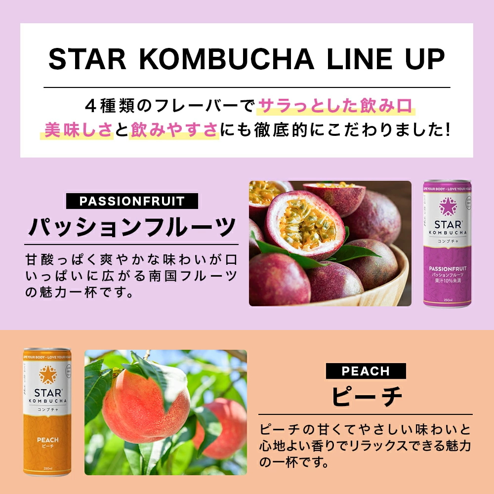 送料無料 スターコンブチャ パッションフルーツ(発酵飲料)[250ml×24本]STAR KOMBUCHA PASSIONFRUIT 紅茶キノコ 発酵ドリンク konbucha 常温便_7