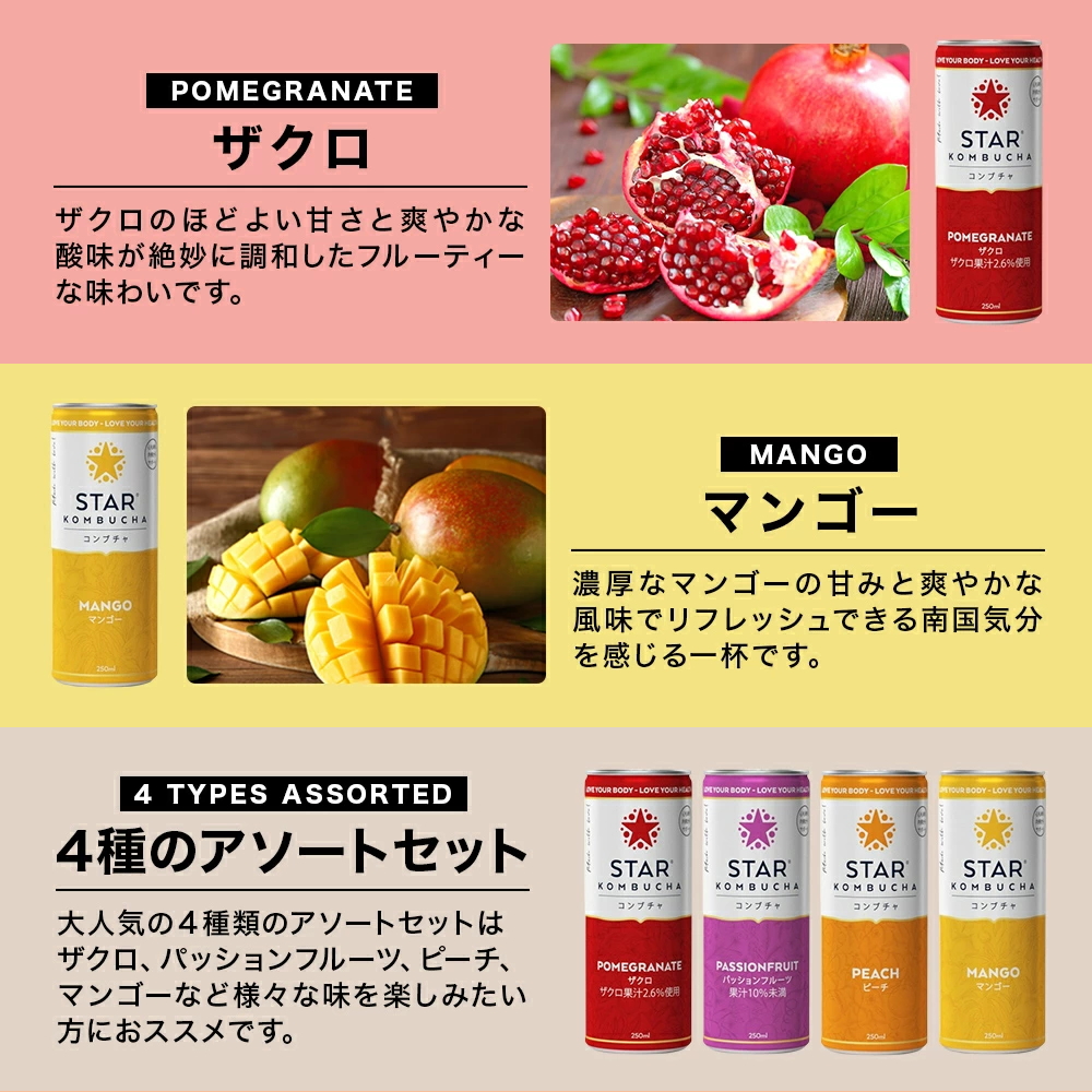 送料無料 スターコンブチャ パッションフルーツ(発酵飲料)[250ml×24本]STAR KOMBUCHA PASSIONFRUIT 紅茶キノコ 発酵ドリンク konbucha 常温便_8
