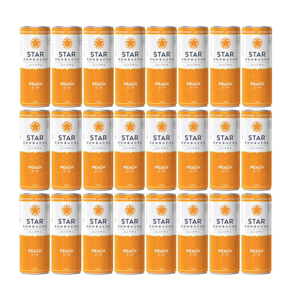 送料無料 スターコンブチャ ピーチ(発酵飲料)[250ml×24本]STAR KOMBUCHA PEACH 紅茶キノコ 発酵ドリンク konbucha 常温便