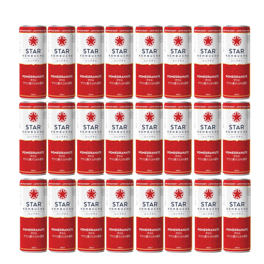 送料無料 スターコンブチャ ザクロ(発酵飲料)[250ml×24本]STAR KOMBUCHA POMEGRANATE 紅茶キノコ 発酵ドリンク 常温便