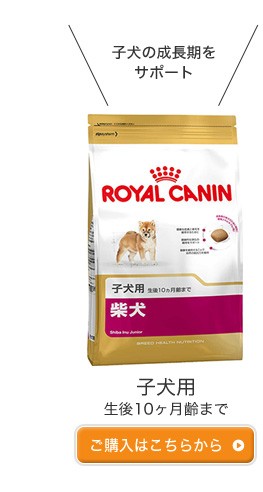 豆しば　　 CANIN 関節サポート 3kg 新品未開封 モコペットチャリティストア - 柴犬｜Yahoo!ショッピング