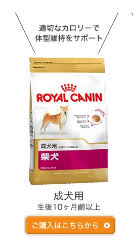 モコペットチャリティストア - 柴犬｜Yahoo!ショッピング