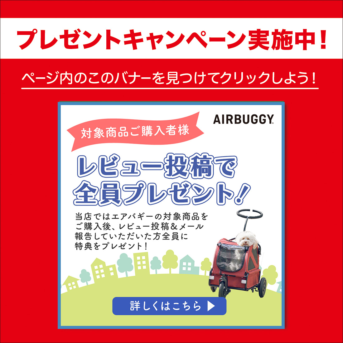 AIRBUGGY（エアバギー） 【正規2年保証】エアバギー キャリッジ