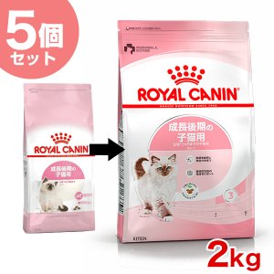 【お得な5個セット】ロイヤルカナン キトン 2kg / 成長後期の子猫用