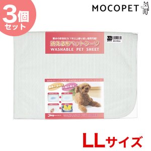 1096dog_stw-112296-00-00.jpeg
