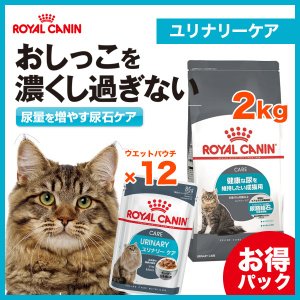 ロイヤルカナン ユリナリーケア 成猫用 【ドライ 2kg + ウェット 12パック】 尿路結石予防 健康な尿を維持したい成猫用  :stw-144963-00-00:モコペット - 通販 - Yahoo!ショッピング