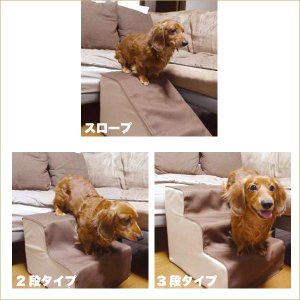 ペットプロ]PetPro ペットステップ シニア期・介護期向け用 2段タイプ