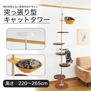 ボンビアルコン Cat Base キャットベース ハンモック付きキャット