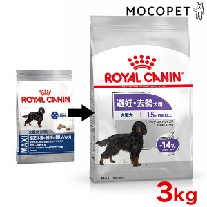 ロイヤルカナン マキシ ステアライズド 3kg / 大型犬 避妊・去勢犬用