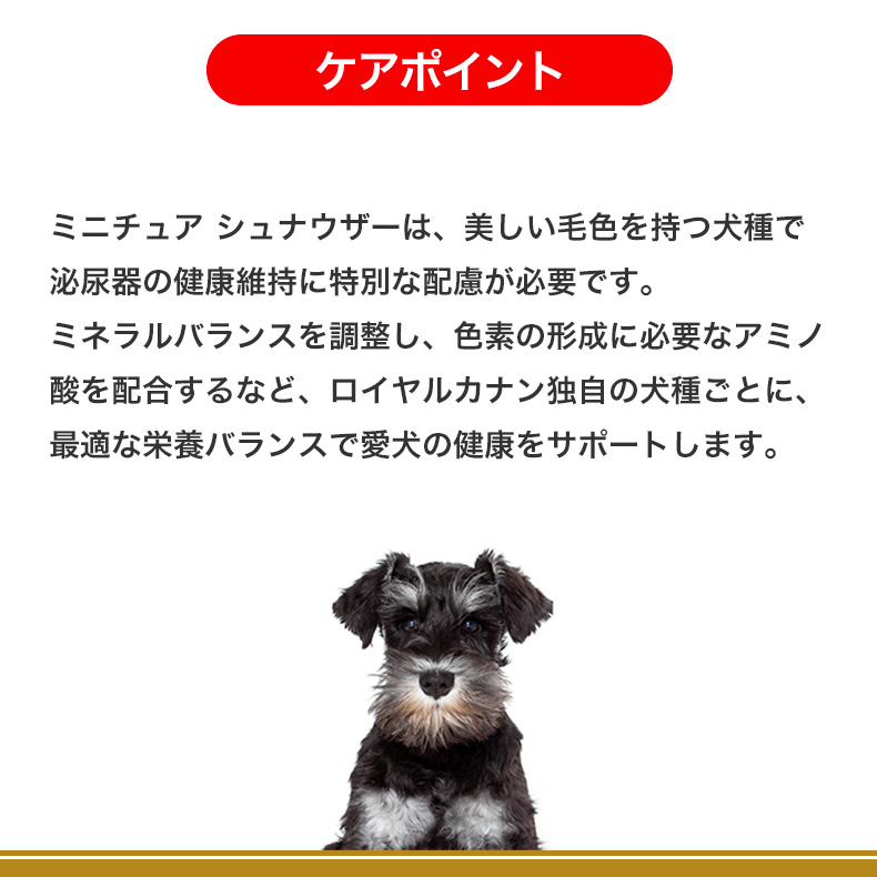 お得な2個セット】ロイヤルカナン ミニチュアシュナウザー 成犬〜高齢