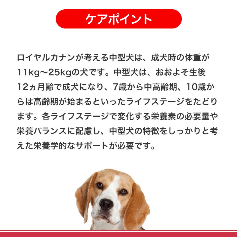 【お得な4個セット】ロイヤルカナン ミディアム アダルト 4kg / 中型犬（成犬時体重11〜25kg）成犬用（生後12ヵ月齢以上） / SHN 犬 ドライフード ジッパー有り｜1096dog｜09