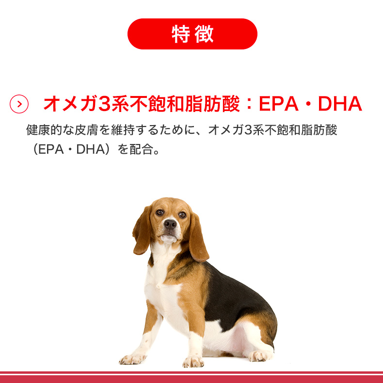 ロイヤルカナン ミディアム アダルト 10kg / 中型犬（成犬時体重11〜25kg）成犬用（生後12ヵ月齢以上） / SHN 犬 ドライフード ジッパー有り｜1096dog｜11