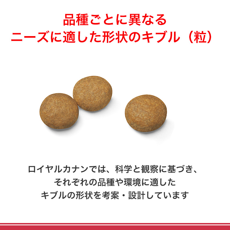 【お得な2個セット】ロイヤルカナン ミディアム アダルト 10kg / 中型犬（成犬時体重11〜25kg）成犬用（生後12ヵ月齢以上） / SHN 犬 ジッパー有り｜1096dog｜12