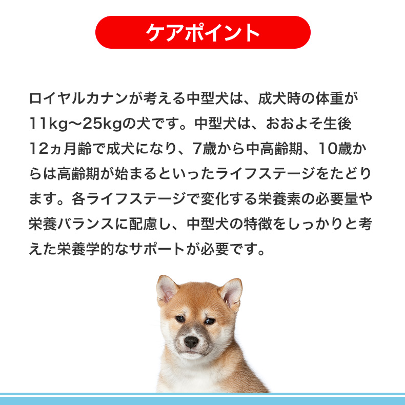 ロイヤルカナン ミディアム パピー 10kg / 中型犬（成犬時体重11〜25kg