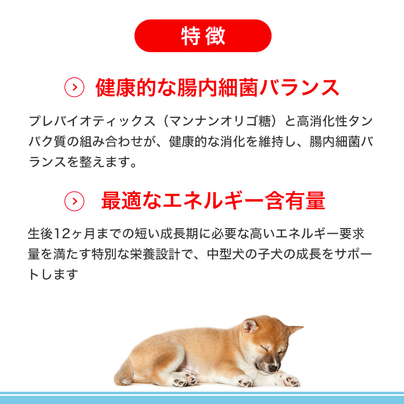 ロイヤルカナン ミディアム パピー 10kg / 中型犬（成犬時体重11〜25kg