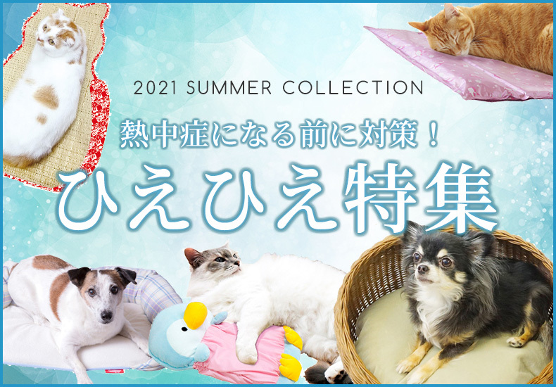 オンライン限定商品】 キャティーマン 猫大満足 ひんやりジェルプール