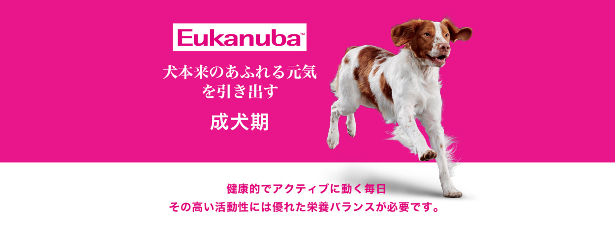 モコペット - 成犬用（[ユーカヌバ]Eukanuba）｜Yahoo!ショッピング