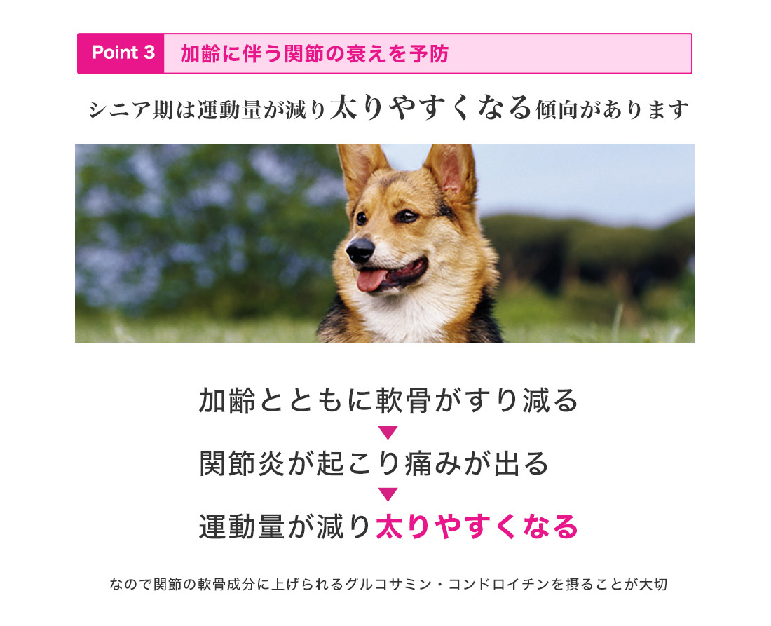 モコペット - シニア犬用（[ユーカヌバ]Eukanuba）｜Yahoo!ショッピング