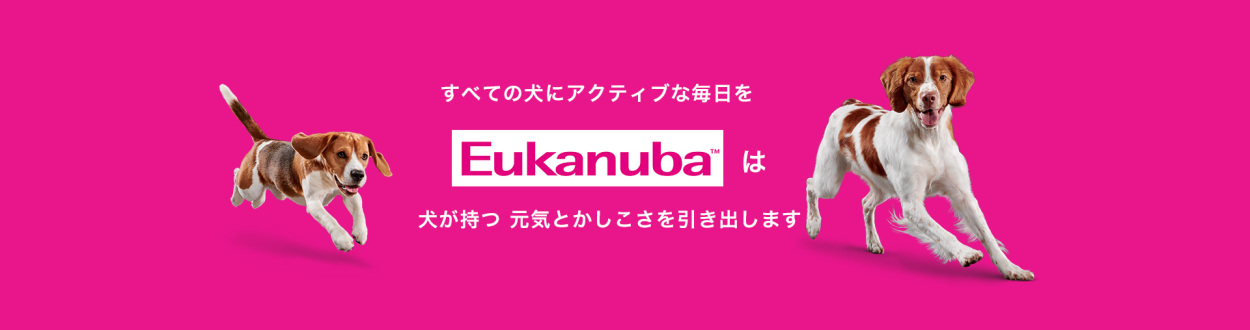 モコペット - [ユーカヌバ]Eukanuba（プレミアムフード）｜Yahoo!ショッピング