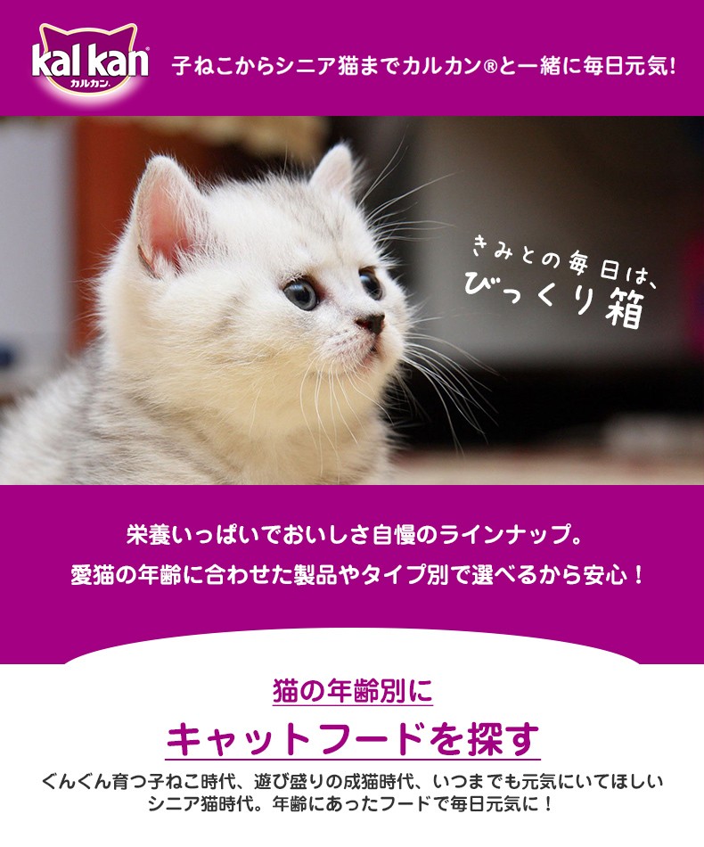 モコペットチャリティストア - [カルカン]Kal Kan｜Yahoo!ショッピング