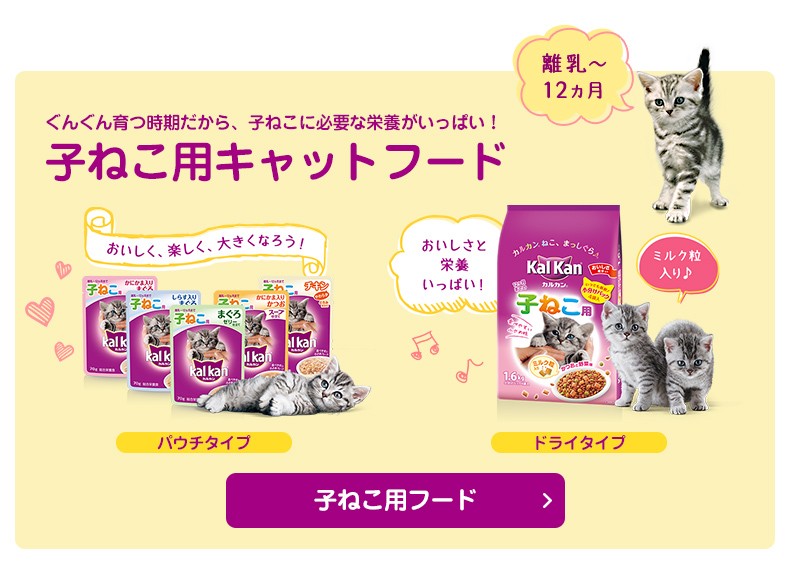 モコペットチャリティストア - [カルカン]Kal Kan｜Yahoo!ショッピング