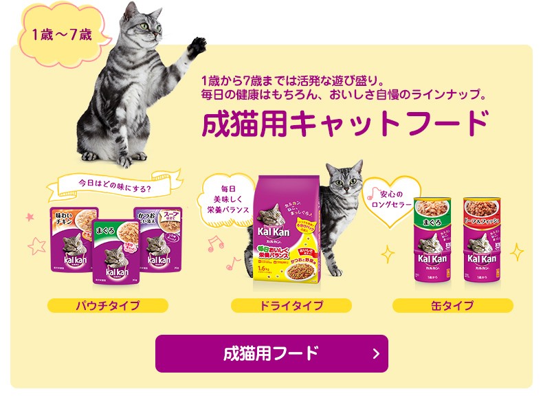 モコペットチャリティストア - [カルカン]Kal Kan｜Yahoo!ショッピング