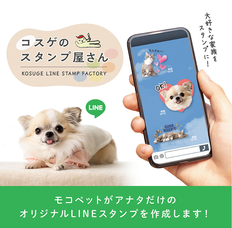 オリジナルlineスタンプ制作 写真使用8個コース 犬 猫 うさぎ 小動物などなどラインスタンプ作ります モコペット L 01 8 L 01 08 モコペット 通販 Yahoo ショッピング