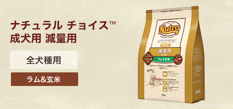 ナチュラルチョイス 減量用 2kg / 全犬種用 成犬用 スペシャルケア #w