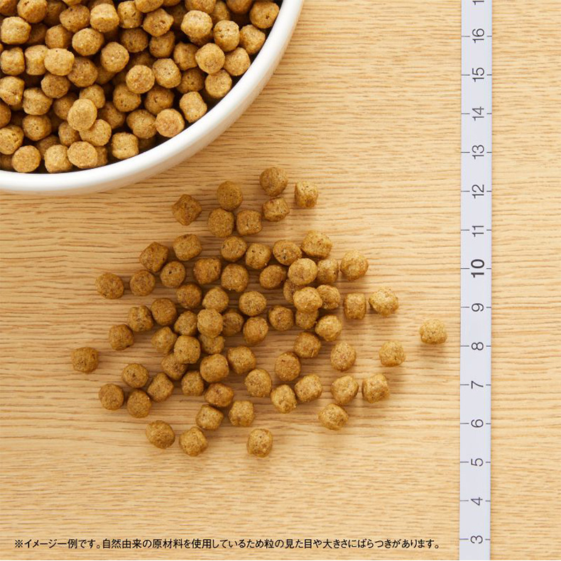 ナチュラルチョイス ラム&玄米 エイジングケア 7.5kg / 中型犬〜大型犬
