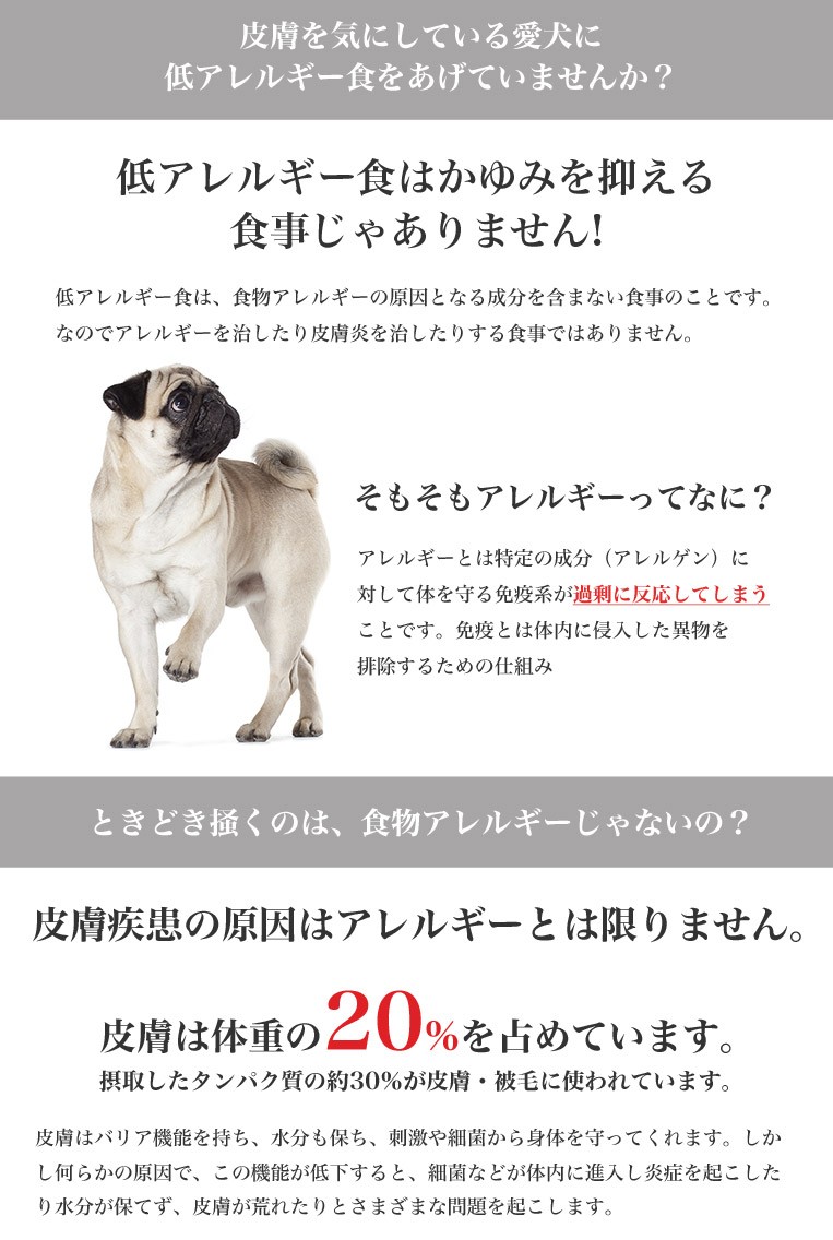 ロイヤルカナン ミニ ダーマコンフォート 2kg / 小型犬 皮膚の健康を