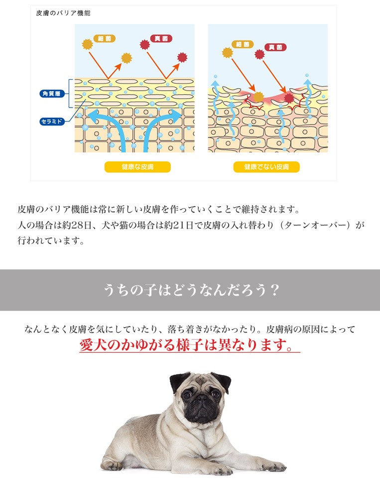 ロイヤルカナン ミニ ダーマコンフォート 2kg / 小型犬 皮膚の健康を