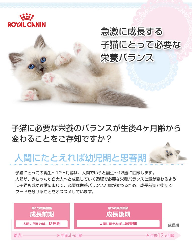 モコペット 子猫用 2 12ヶ月まで 健康な猫用 Fhn Yahoo ショッピング